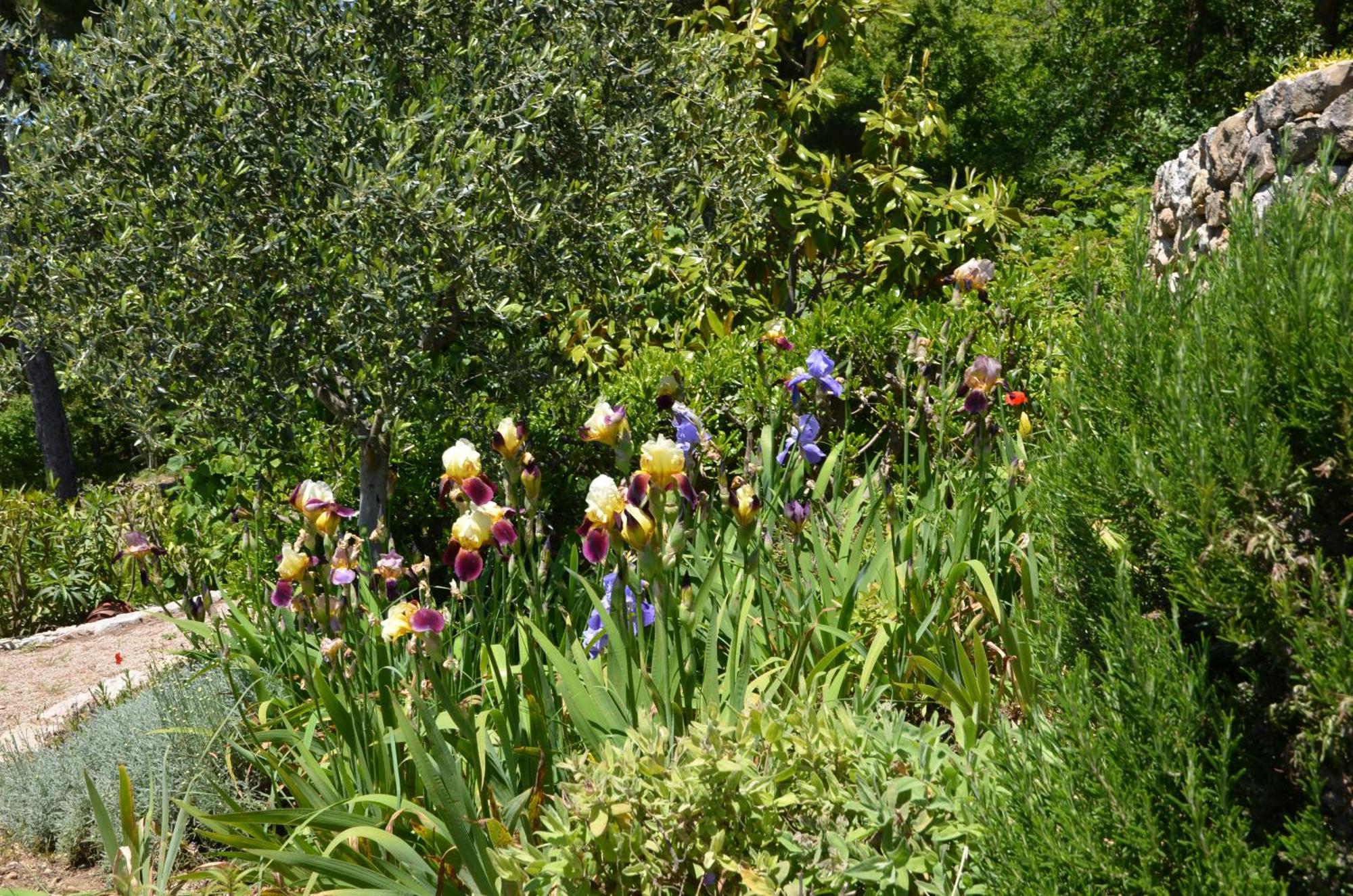 Bed and Breakfast La Bastide des Pins Vence Exterior foto