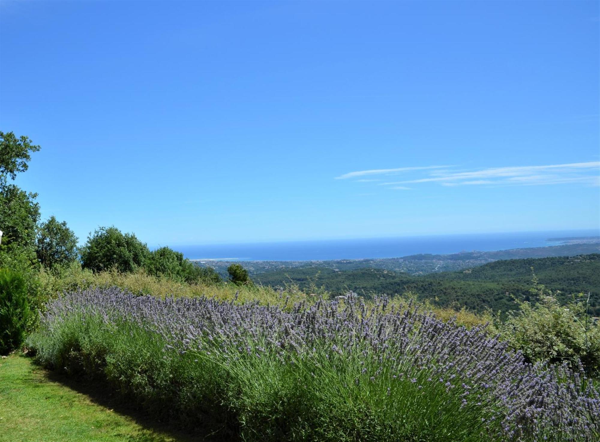 La Bastide des Pins Bed and Breakfast Vence Exterior foto